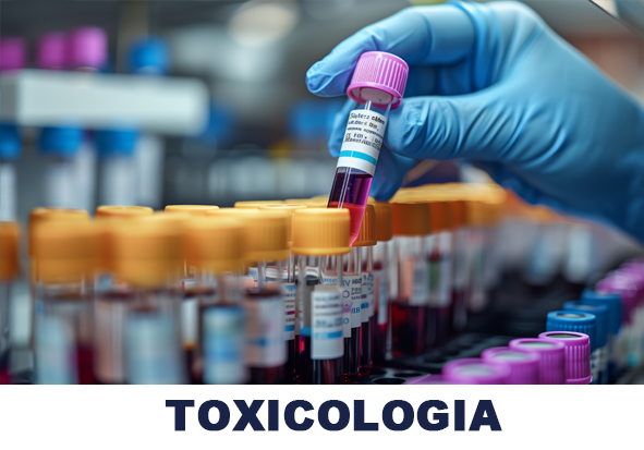 08-TOXICOLOGIA2